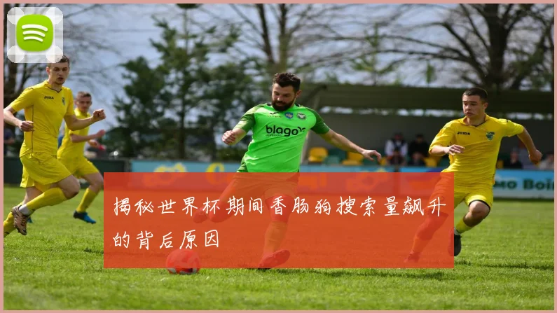 揭秘世界杯期间香肠狗搜索量飙升的背后原因