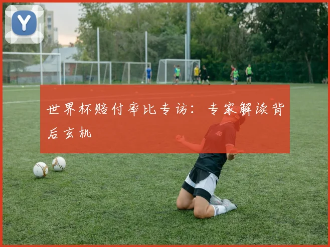 世界杯赔付率比专访：专家解读背后玄机