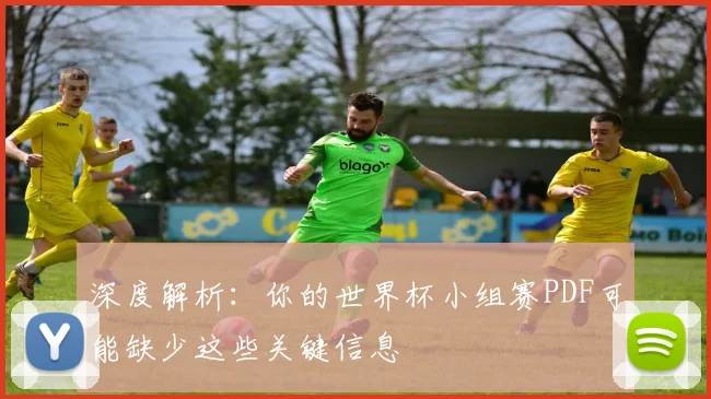 深度解析:你的世界杯小组赛PDF可能缺少这些关键信息