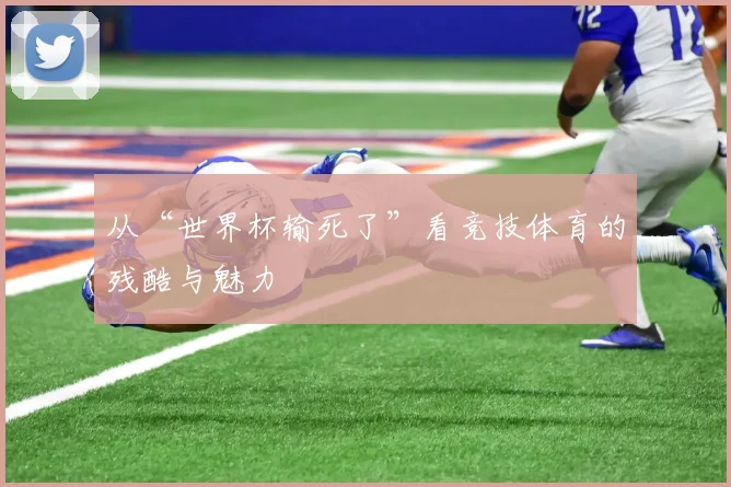从“世界杯输死了”看竞技体育的残酷与魅力