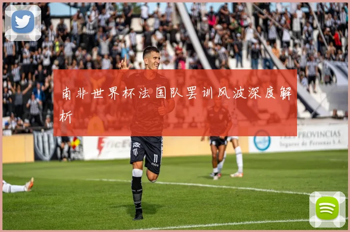 南非世界杯法国队罢训风波深度解析