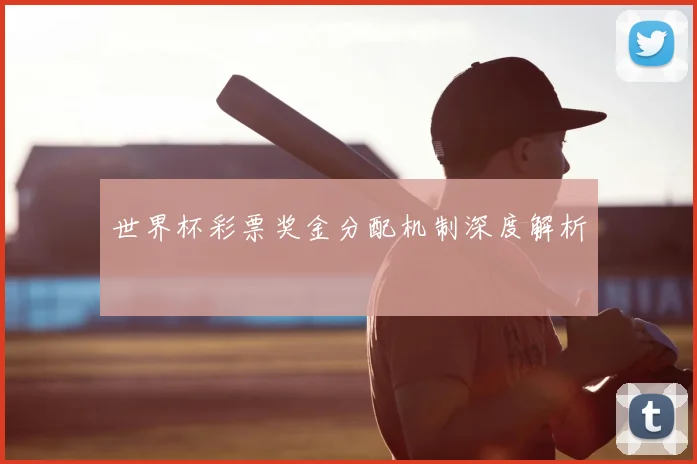 世界杯彩票奖金分配机制深度解析