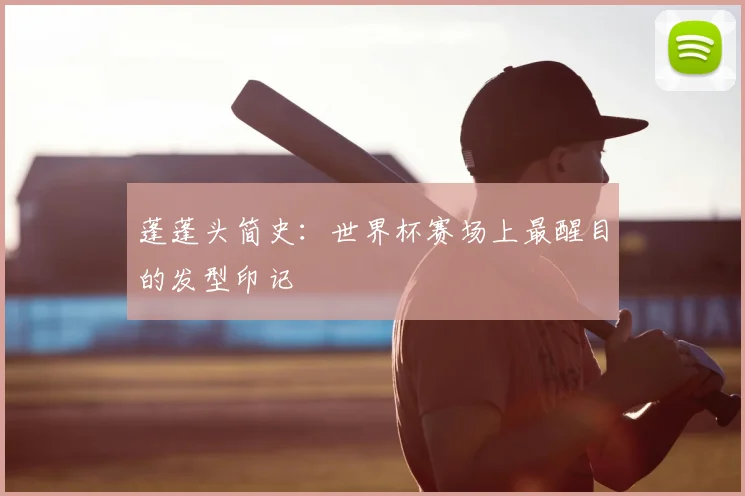 蓬蓬头简史：世界杯赛场上最醒目的发型印记