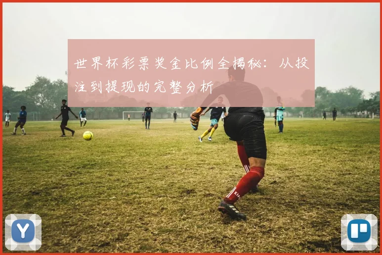 世界杯彩票奖金比例全揭秘:从投注到提现的完整分析