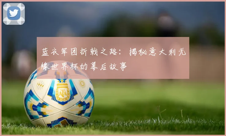 蓝衣军团折戟之路：揭秘意大利无缘世界杯的幕后故事