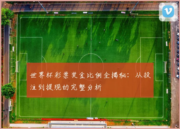 世界杯彩票奖金比例全揭秘:从投注到提现的完整分析