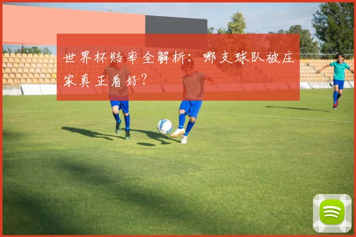 世界杯赔率全解析：哪支球队被庄家真正看好？
