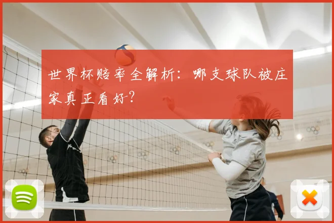 世界杯赔率全解析：哪支球队被庄家真正看好？