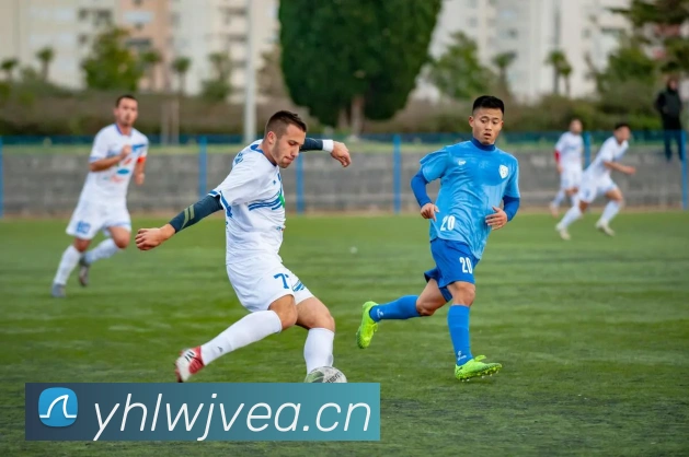 九游电子娱乐入口平台生态图