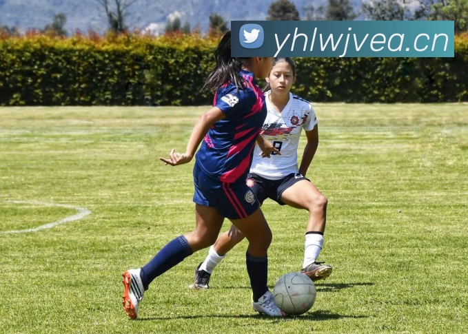 九游电子娱乐入口APP 封面图