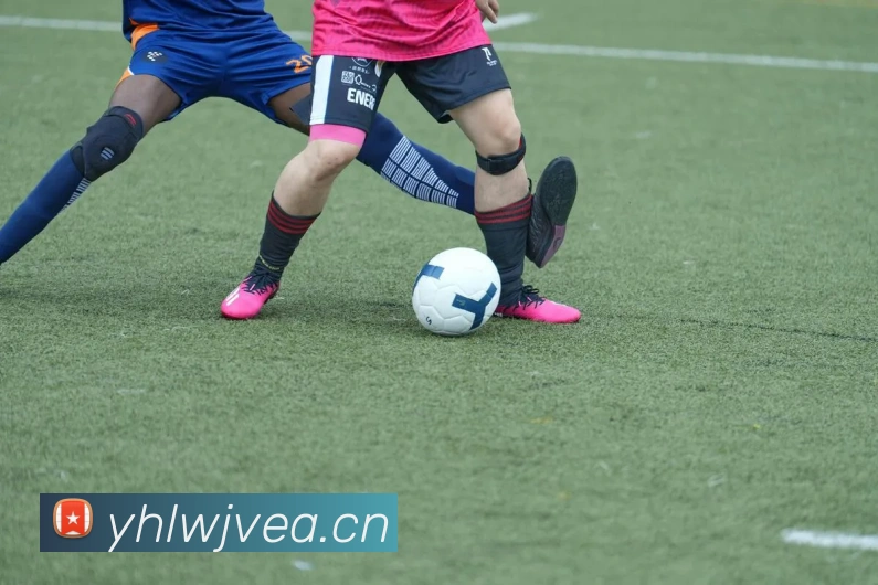 数据防护可视化